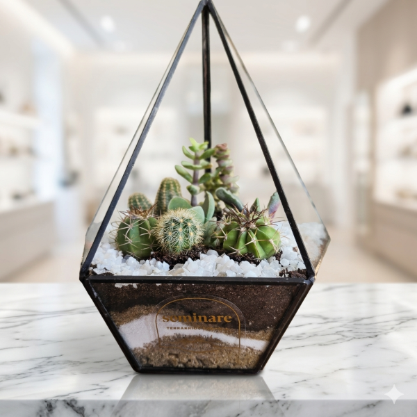 Producto - Terrario Pólux