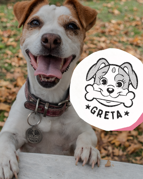 Producto - Chapitas personalizadas para mascotas