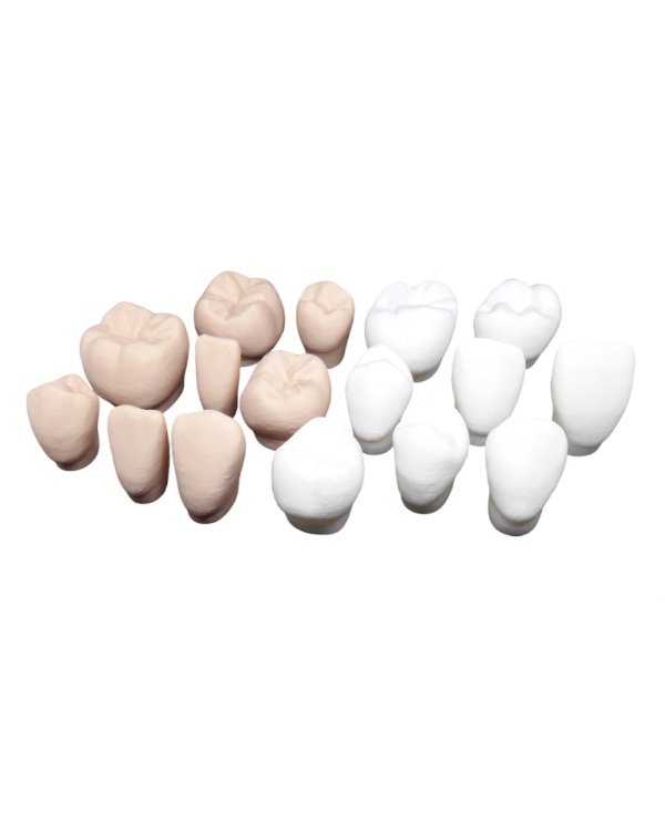 Producto - Juego dientes media arcada superior e inferior