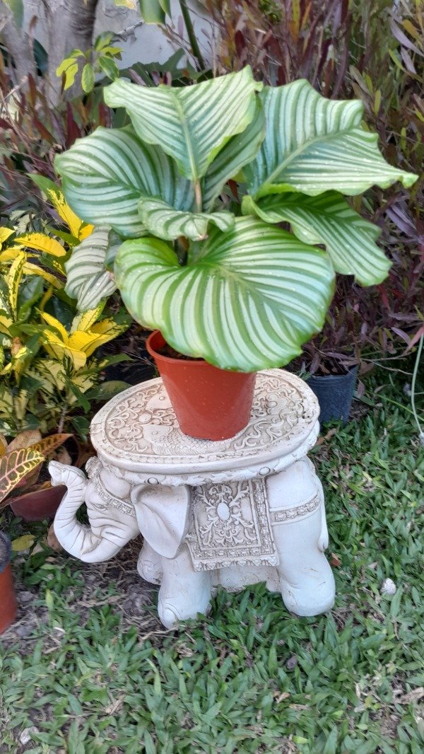 Producto - Mesa Elefante chica - 3