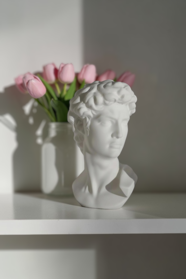 Producto - Estatua David