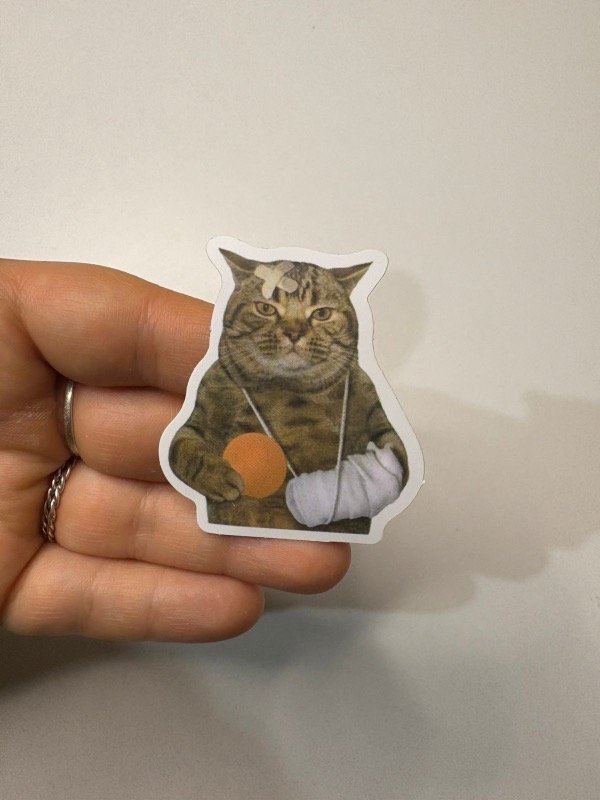 Producto - Sticker gato 120