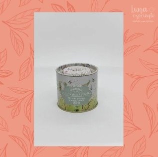 Producto - Jardín de la alegría-Té verde,Papaya,Mango,Ananá,Flores - 1
