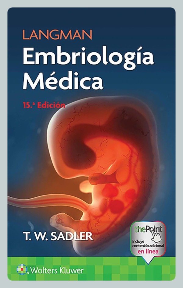Producto - Langman: Embriología Médica, 15ta