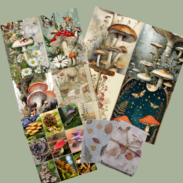 Producto - SET CREATIVO HONGOS- Ideal para Scrapbook, journaling o collage - 3