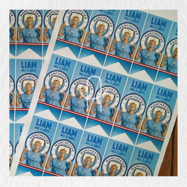 Producto - Plancha de 15 stickers para bolsitas