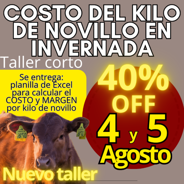 Producto - Taller corto: cálculo del costo del kilo de novillo - 0
