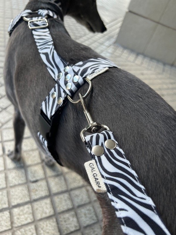 Producto - Pretal Cordura Cebra