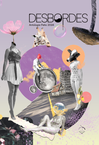 Producto - Desbordes