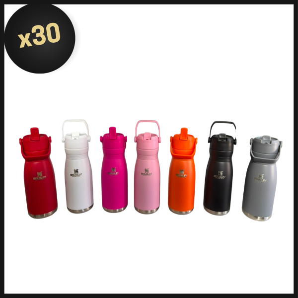 Producto - PROMO BULTO BOTELLA TERMICA FLIP 780ML CON LOGO
