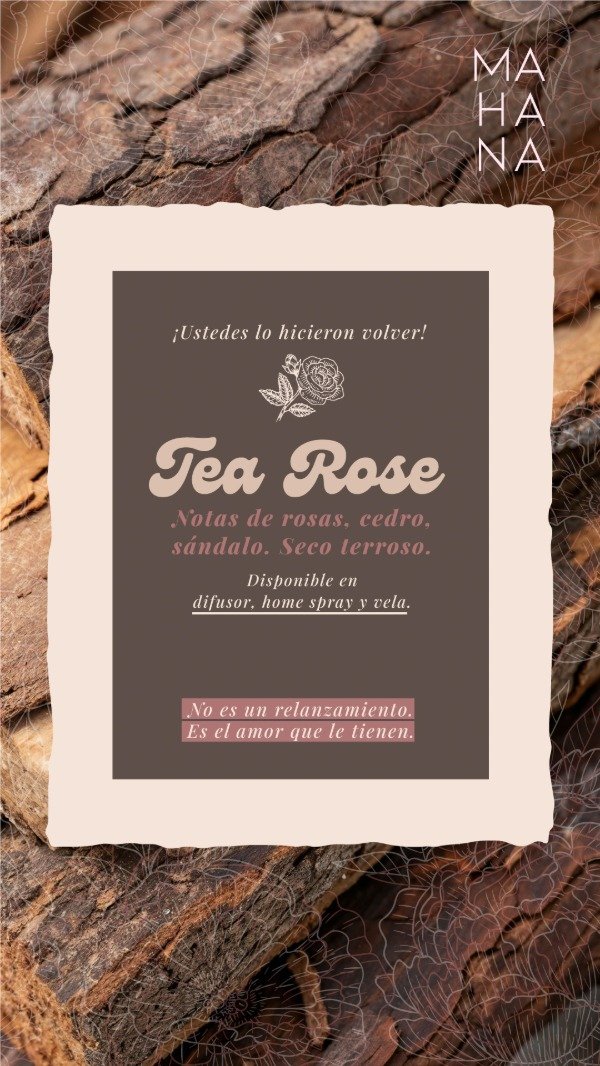 Producto - Home spray 500cc TEA ROSE