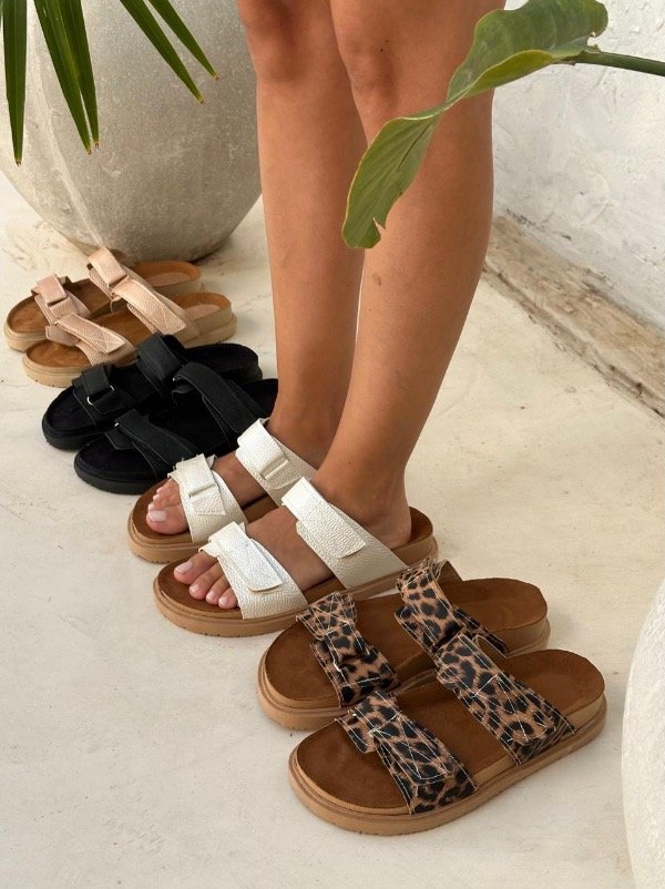 Producto - Seraphina - 12