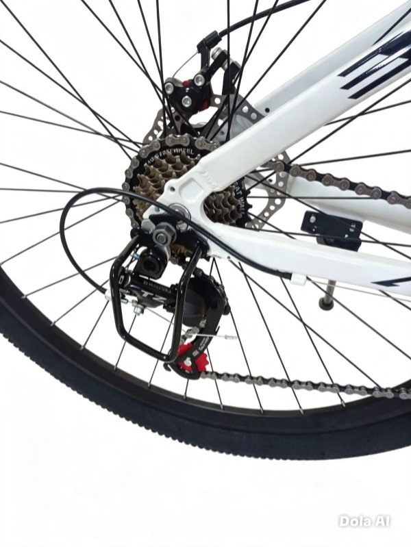 Producto - Bicicleta Raptor Terra - 1