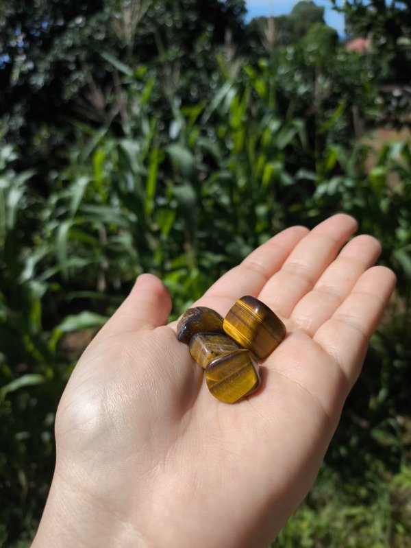 Producto - Ojo de tigre - Leo