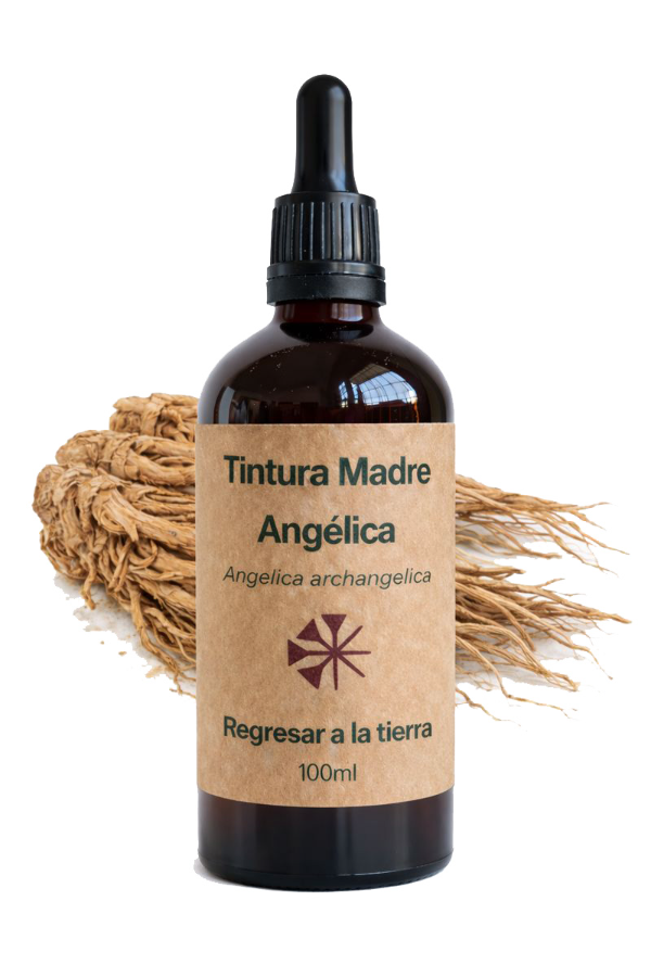 Producto - Tintura Madre de Angélica 100ml