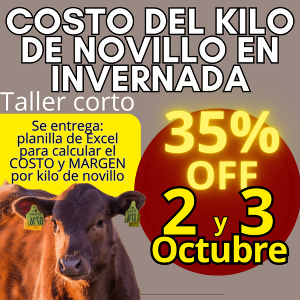 Producto - Taller corto: cálculo del costo del kilo de novillo - 0