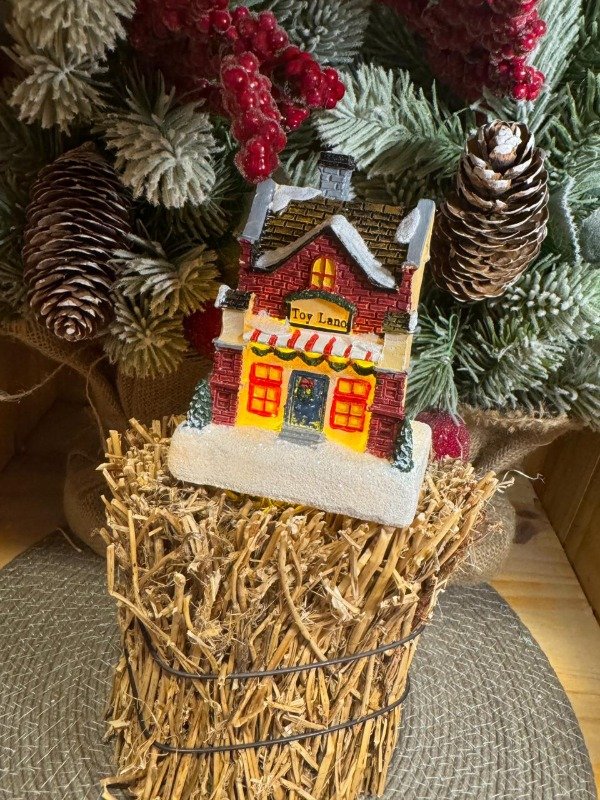 Producto - Casita Toy (Efectivo: 14.000)