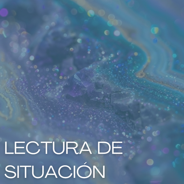 Producto - Lectura de situación