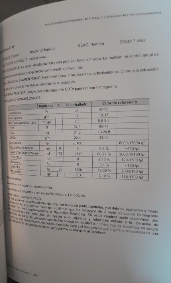 Producto - Arauz: Atlas de Hematología Veterinaria - 10