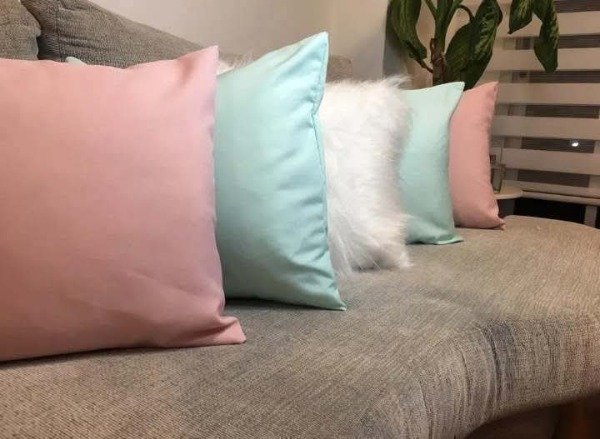 Producto - Almohadones lisos
