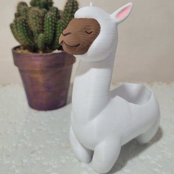 Producto - Llamas
