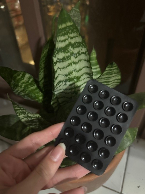 Producto - Sopapa negra