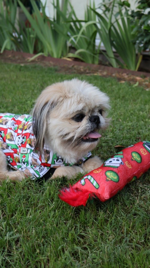 Miniatura de producto - 2