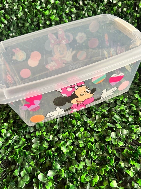 Producto - Caja guarda todo con tapa Disney - 1
