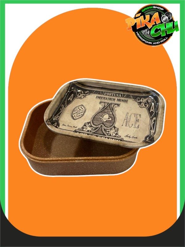 Producto - Bandeja Box Con Tapa Imantada Mini