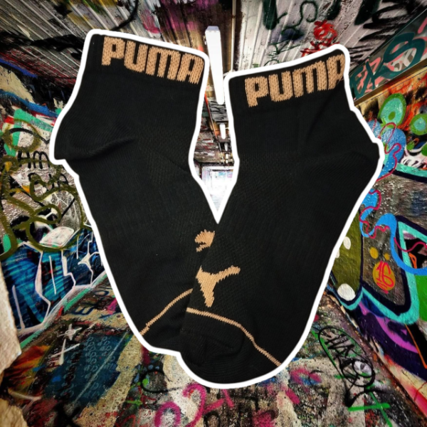 Producto - Puma negro con ocre