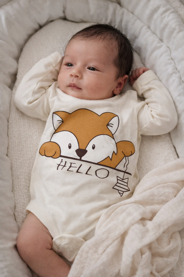 Producto - BODY ZORRITO HELLO - transferncia 9.775