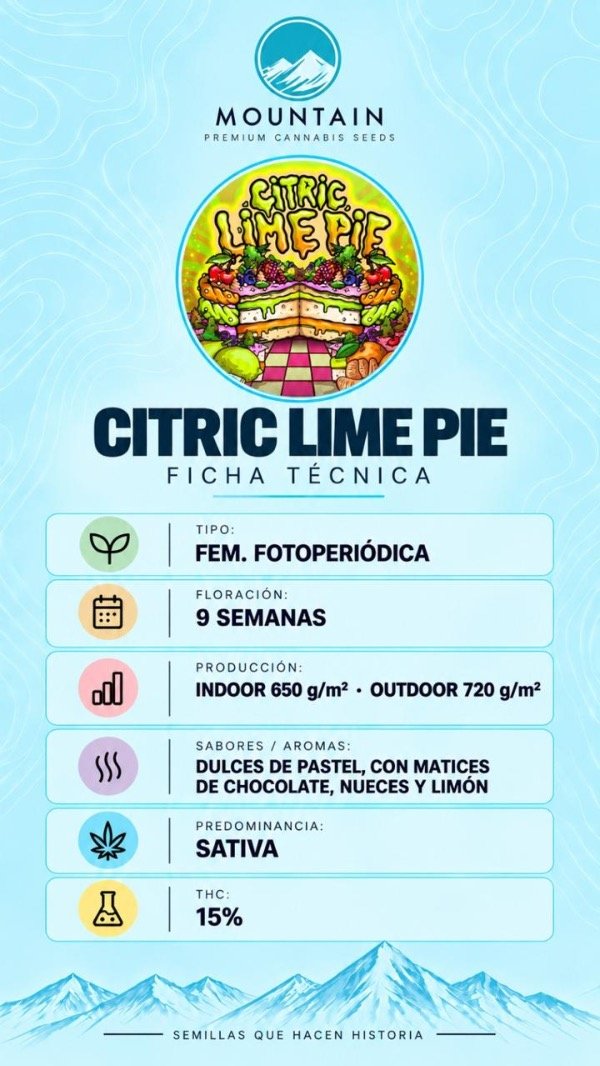 Producto - CITRIC LIME PIE (3 unidades) - 1