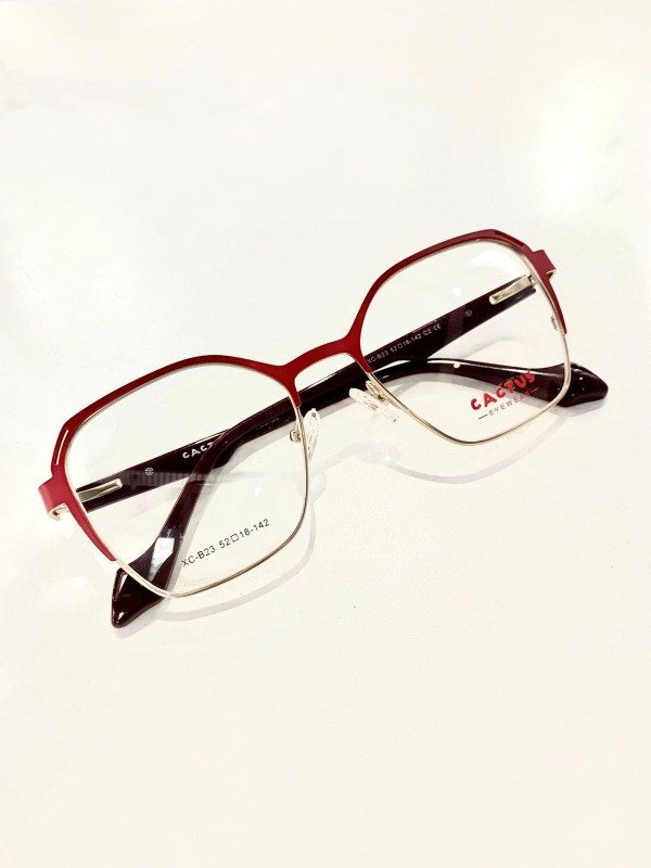 Producto - CACTUS XC23