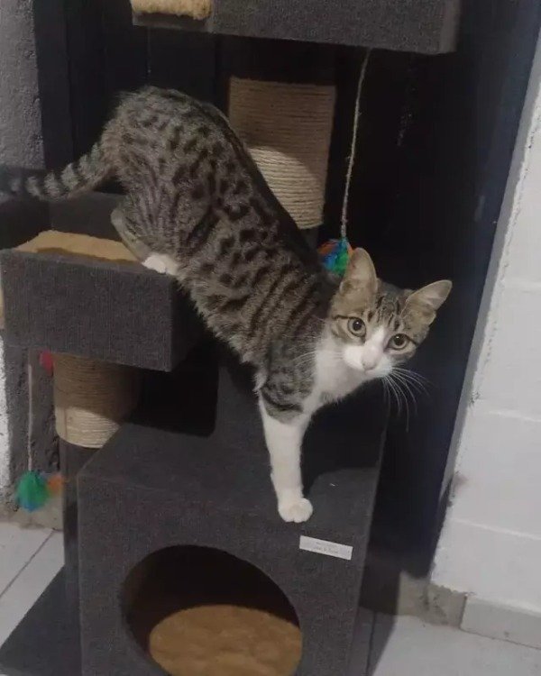 Miniatura de producto - 3