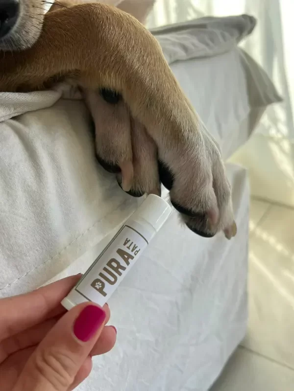 Producto - Balsamo Lipstick con Vitamina E, Manteca de Cacao y Karité, Caléndula y Lavanda