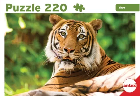 Producto - Rompecabezas 220 Piezas Antex