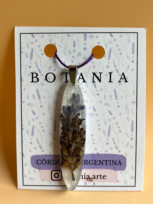 Producto - Lavanda 2