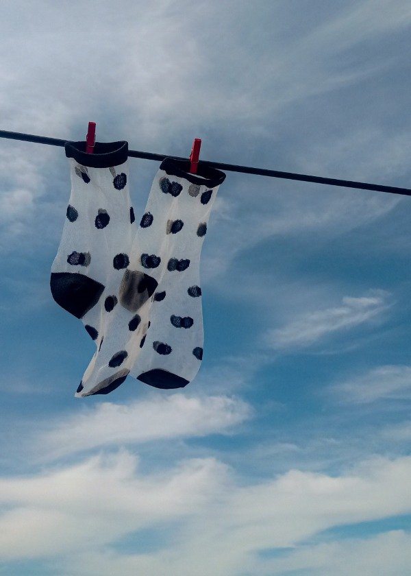 Producto - Medias TRANSPARENTES bordadas Negras de LUNARES