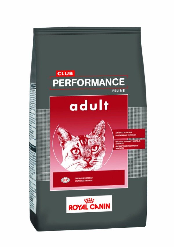 Producto - ROYAL CANIN PERFORMANCE CAT ADULTO X 7,5 KG