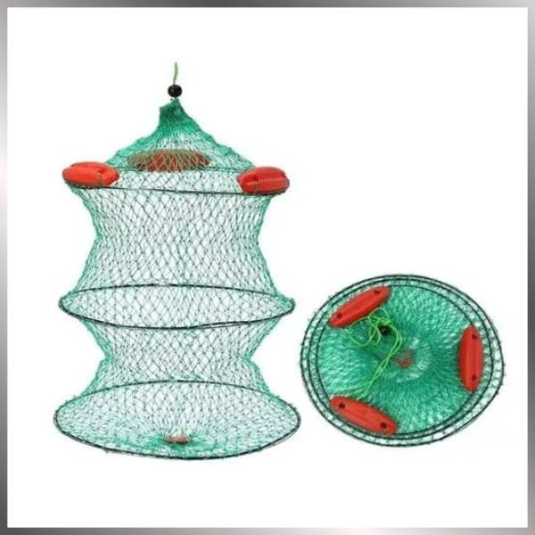 Producto - Vivero red Verde