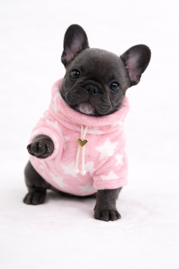 Producto - Buzo Stars Pink