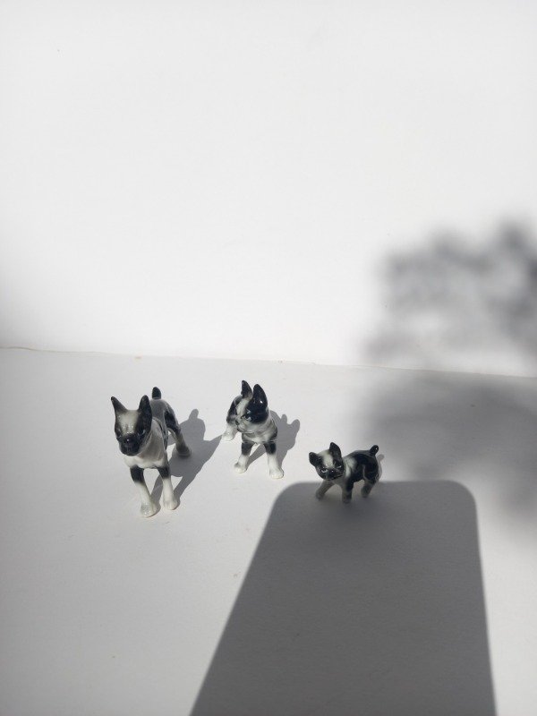 Producto - Tres bulldogs francés miniatura porcelana