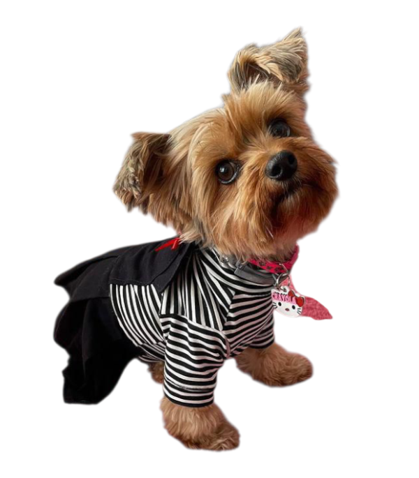 Producto - Vestido minnie black