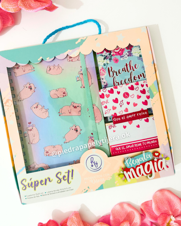 Producto - set regalo cuadernos chanchi