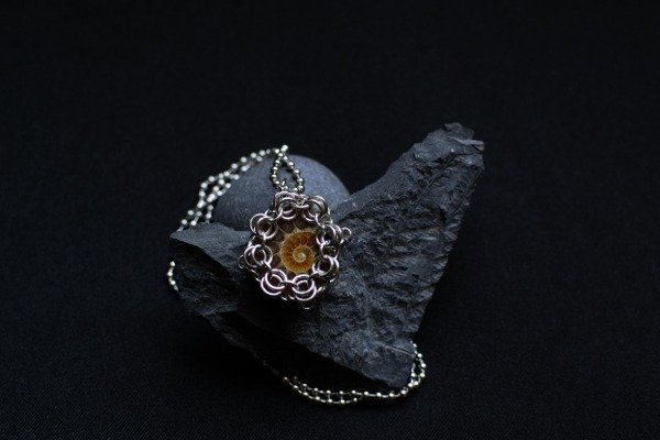 Producto - Ammonite