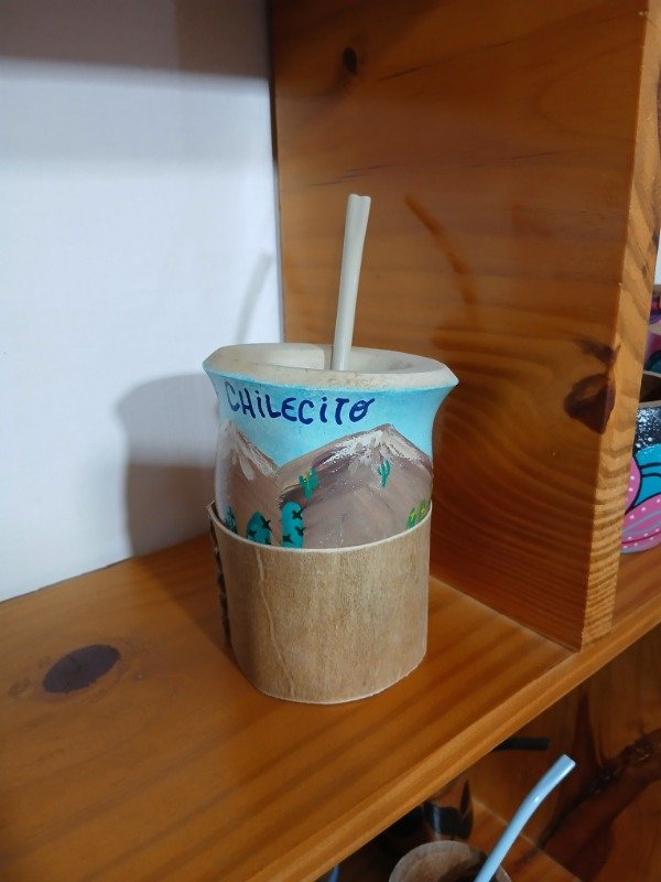 Producto - Mate de calabaza "PAISAJE DE CHILECITO" - 3