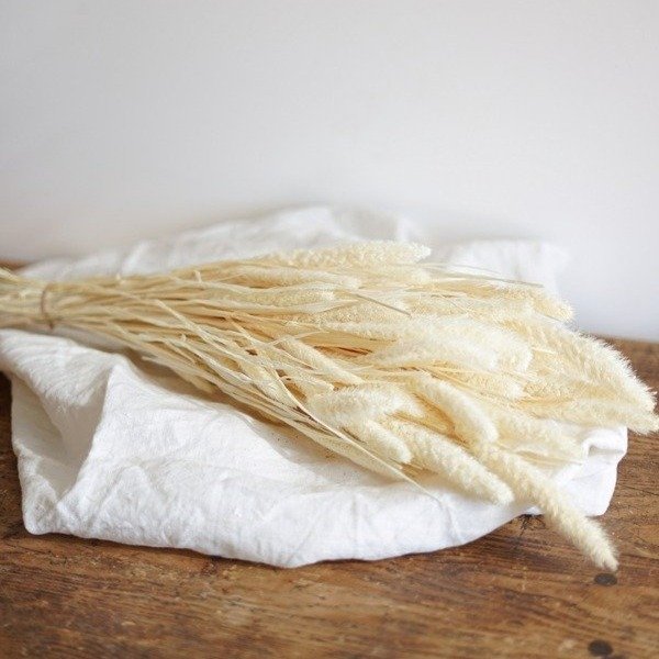 Producto - RAMO SETEREA