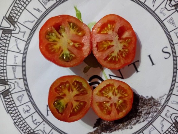 Miniatura de producto - 2