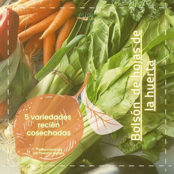 Producto - Bolsón hojas de la Huerta - Nuevo!