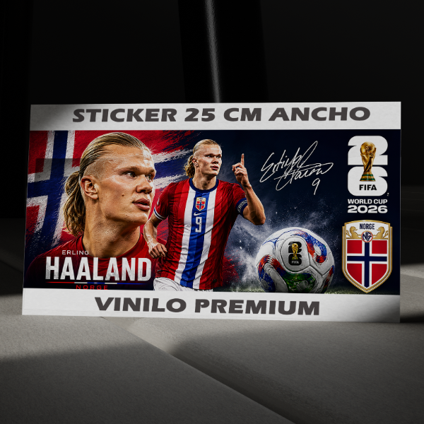 Producto - G0001 - Erling Haaland 25cm
